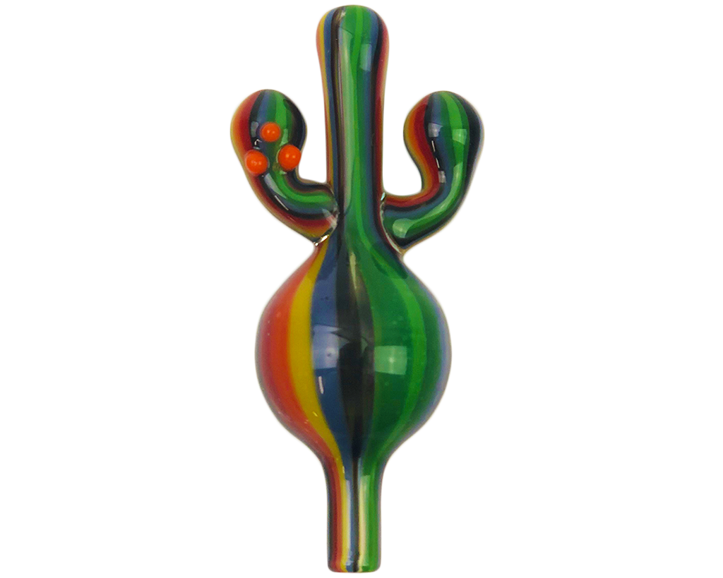 AFM Cactus Bubble Carb Cap with rainbow stripes, front view on seamless white background