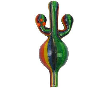 AFM Cactus Bubble Carb Cap with rainbow stripes, front view on seamless white background