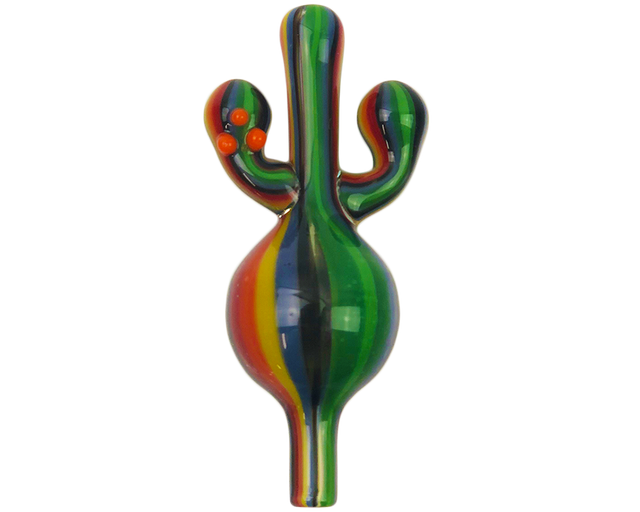 AFM Cactus Bubble Carb Cap with rainbow stripes, front view on seamless white background