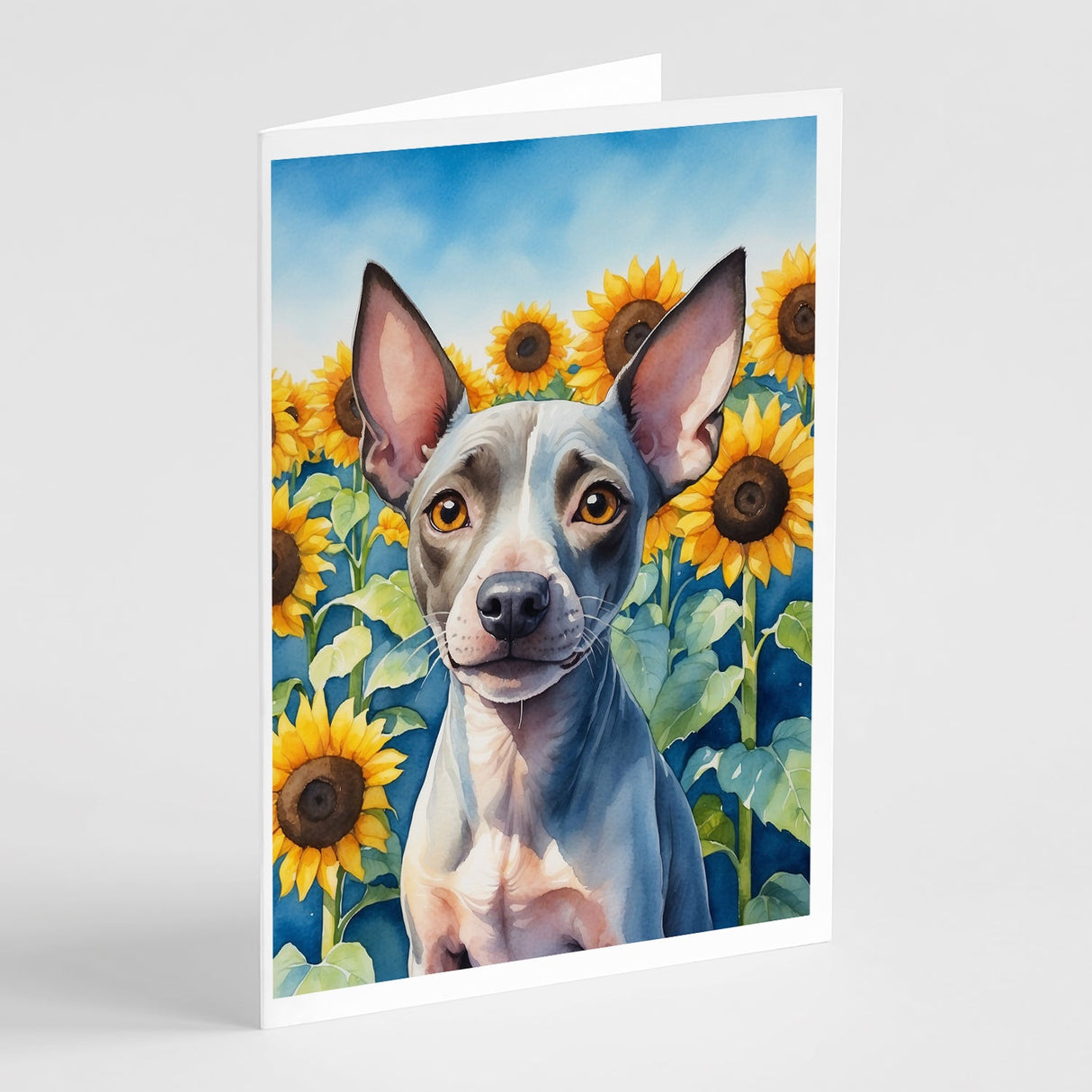 American Hairless Terrier in Sunflowers Greeting Cards Pack of 8