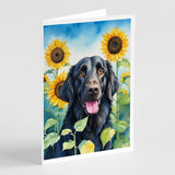 Flat-Coated Retriever in Sunflowers Greeting Cards Pack of 8