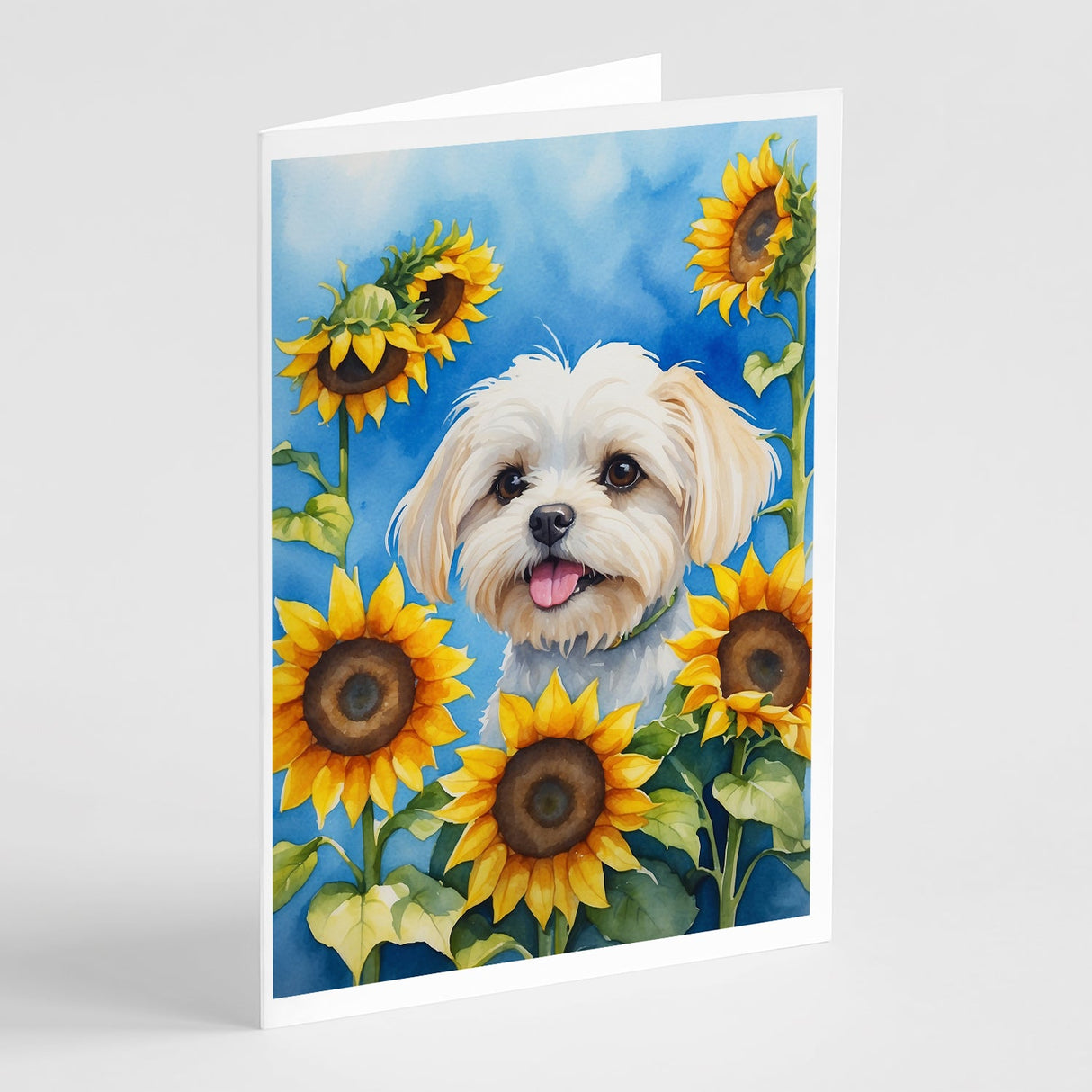 Maltese in Sunflowers Greeting Cards Pack of 8