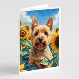 Norwich Terrier in Sunflowers Greeting Cards Pack of 8