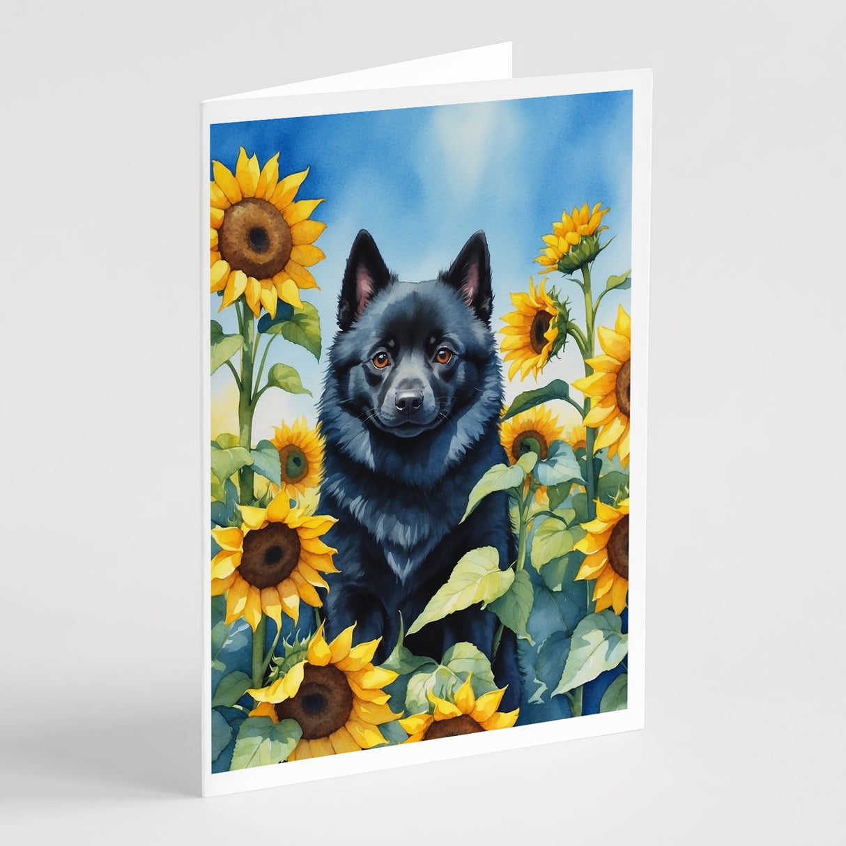 Schipperke in Sunflowers Greeting Cards Pack of 8