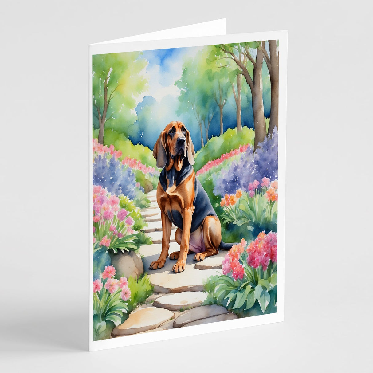 Bloodhound Spring Path Greeting Cards Pack of 8