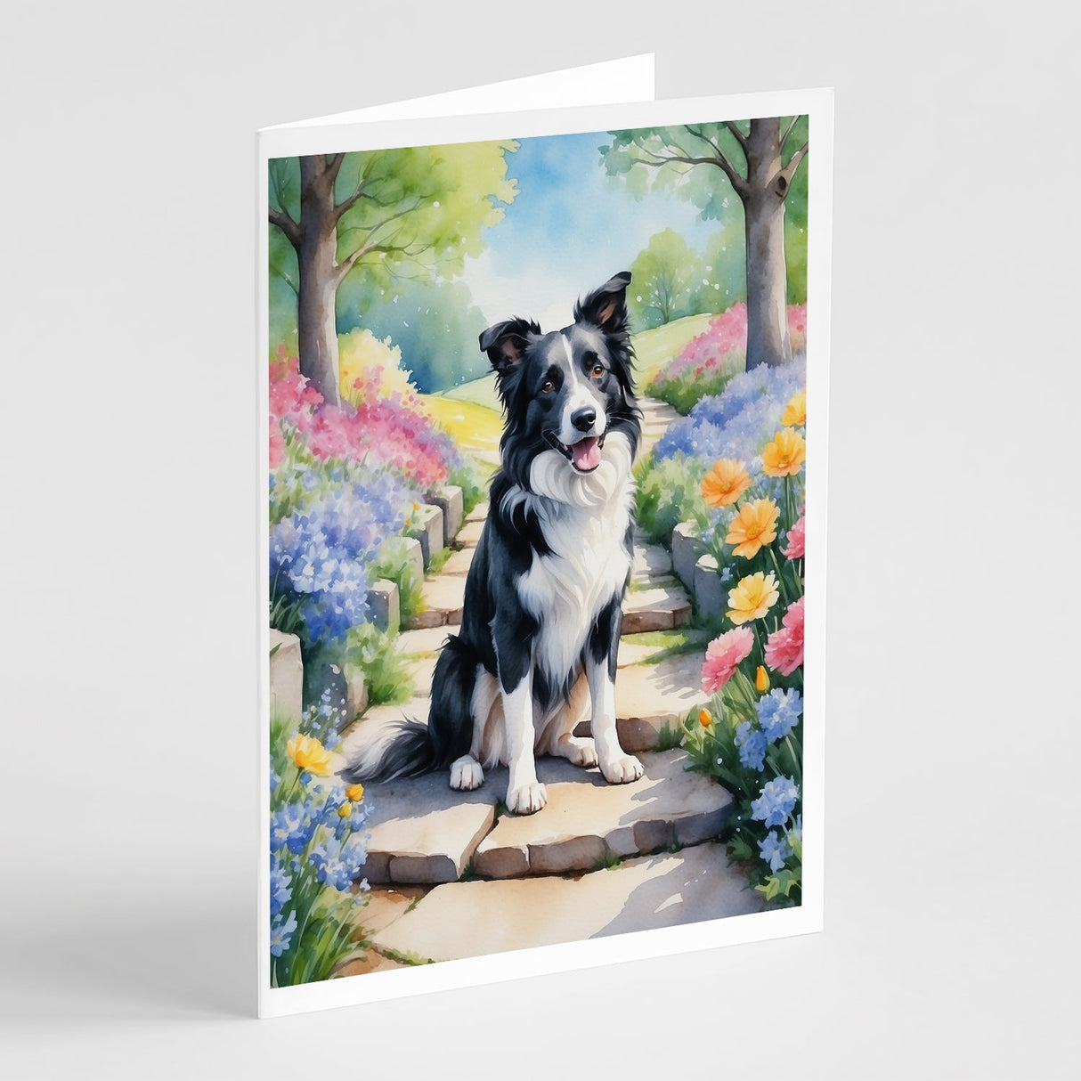 Border Collie Spring Path Greeting Cards Pack of 8