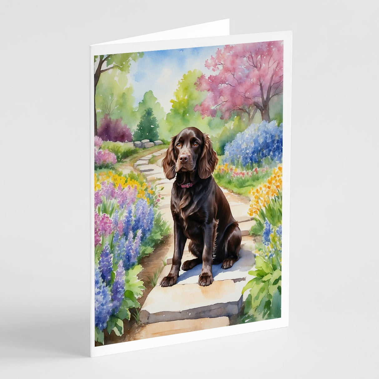 Boykin Spaniel Spring Path Greeting Cards Pack of 8