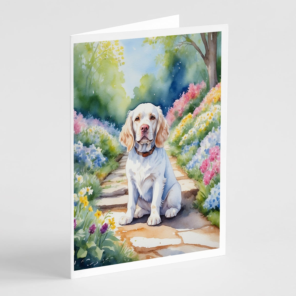 Clumber Spaniel Spring Path Greeting Cards Pack of 8