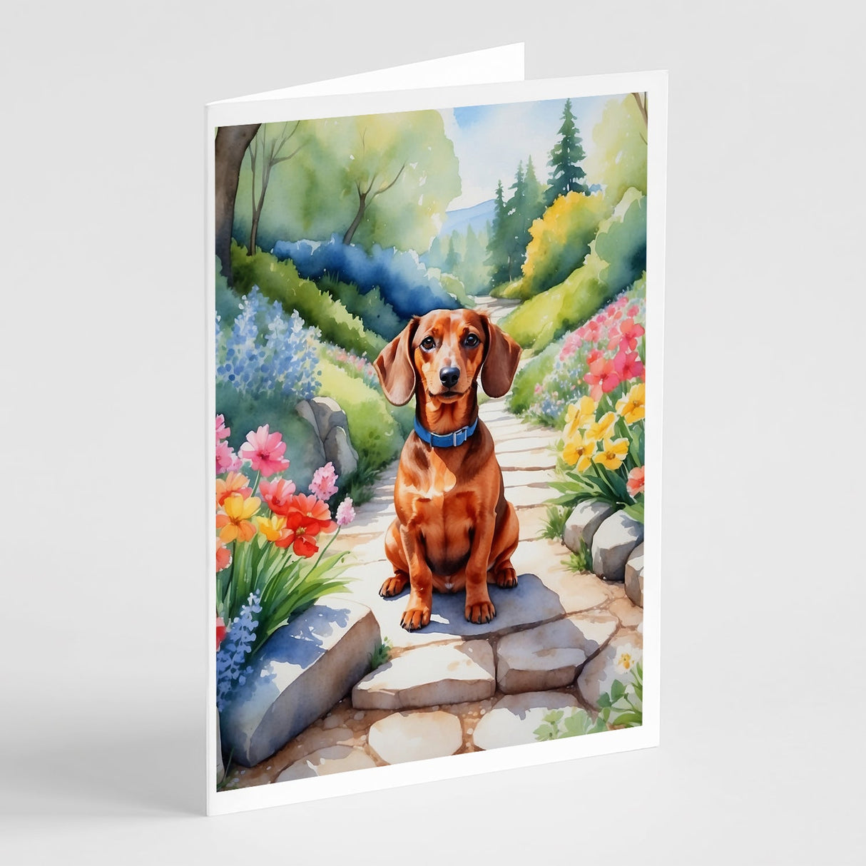 Dachshund Spring Path Greeting Cards Pack of 8