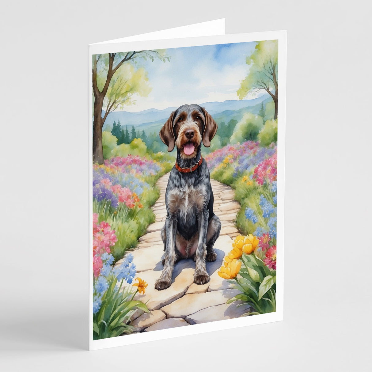 German Wirehaired Pointer Spring Path Greeting Cards Pack of 8