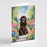 Newfoundland Spring Path Greeting Cards Pack of 8