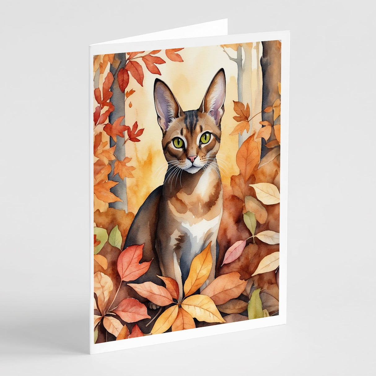 Abyssinian Cat in Fall Leaves Greeting Cards Pack of 8