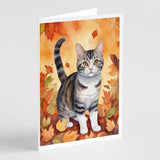 American Wirehair Cat in Fall Leaves Greeting Cards Pack of 8