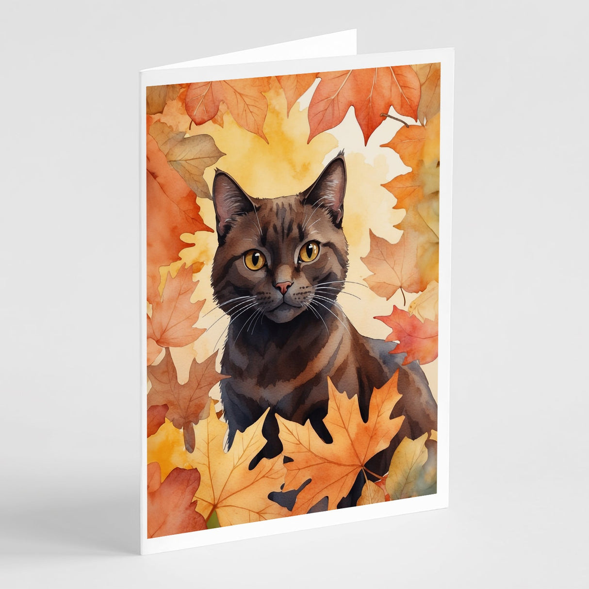 York Chocolate Cat in Fall Leaves Greeting Cards Pack of 8