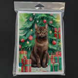 York Chocolate Cat By the Christmas Tree Greeting Cards Pack of 8