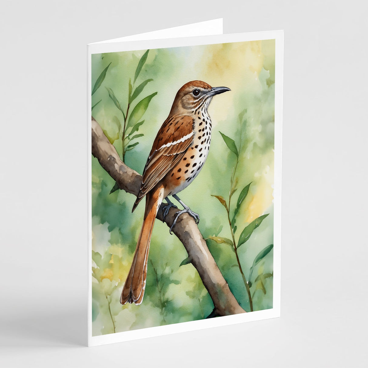 Georgia Brown Thrasher Greeting Cards Pack of 8