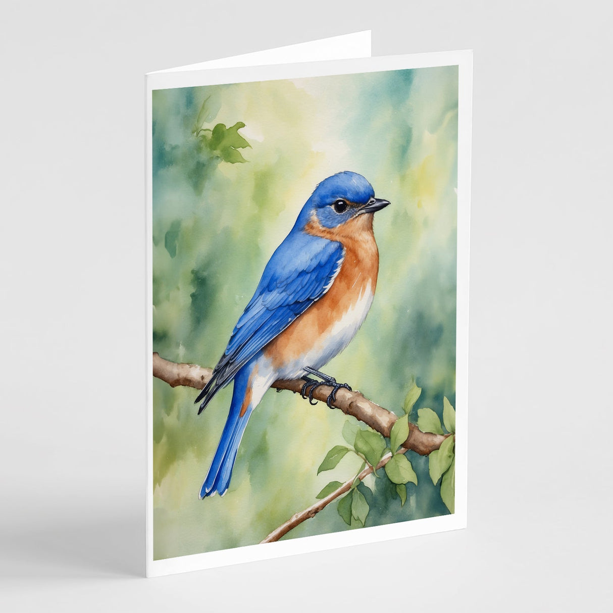 New York Eastern Bluebird Greeting Cards Pack of 8