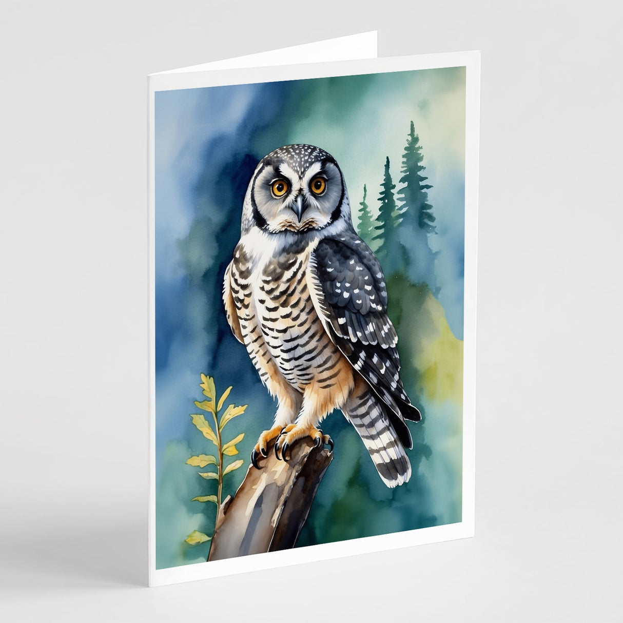 Northern Hawk Owl Greeting Cards Pack of 8