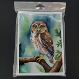 Northern Pygmy Owl Greeting Cards Pack of 8