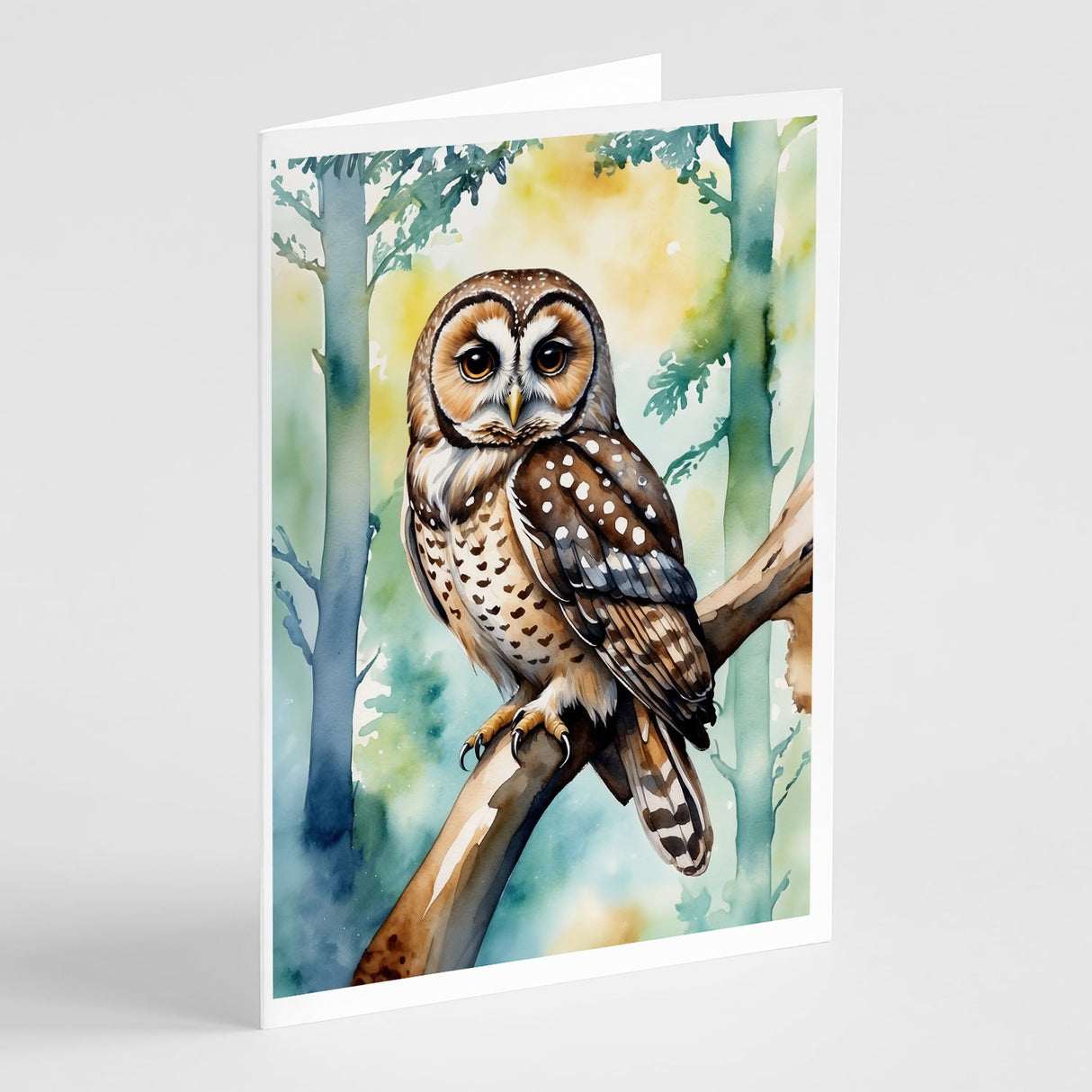 Spotted Owl Greeting Cards Pack of 8