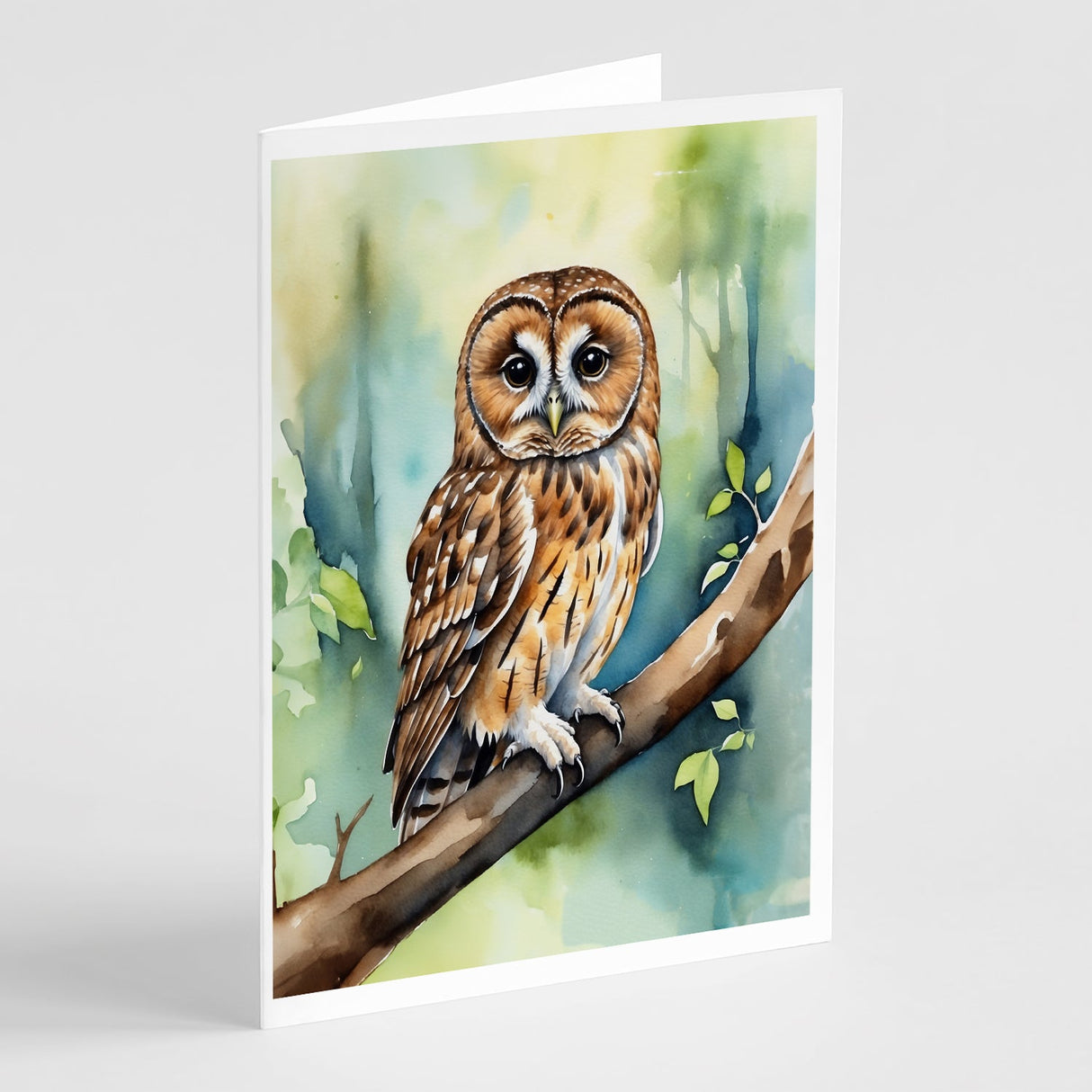 Tawny Owl Greeting Cards Pack of 8