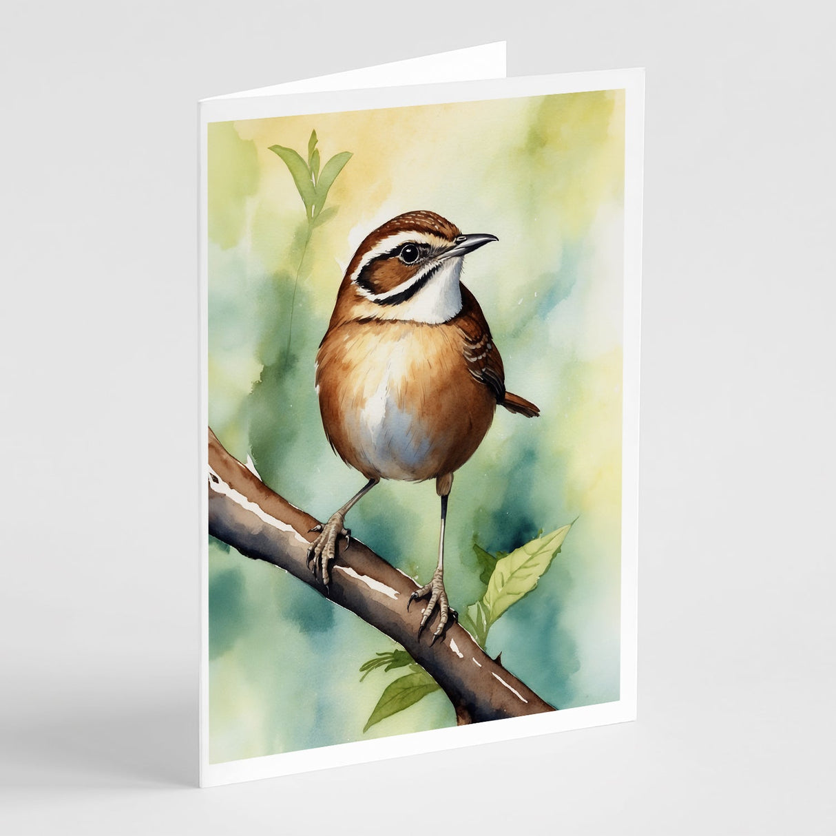 South Carolina Wren Greeting Cards Pack of 8