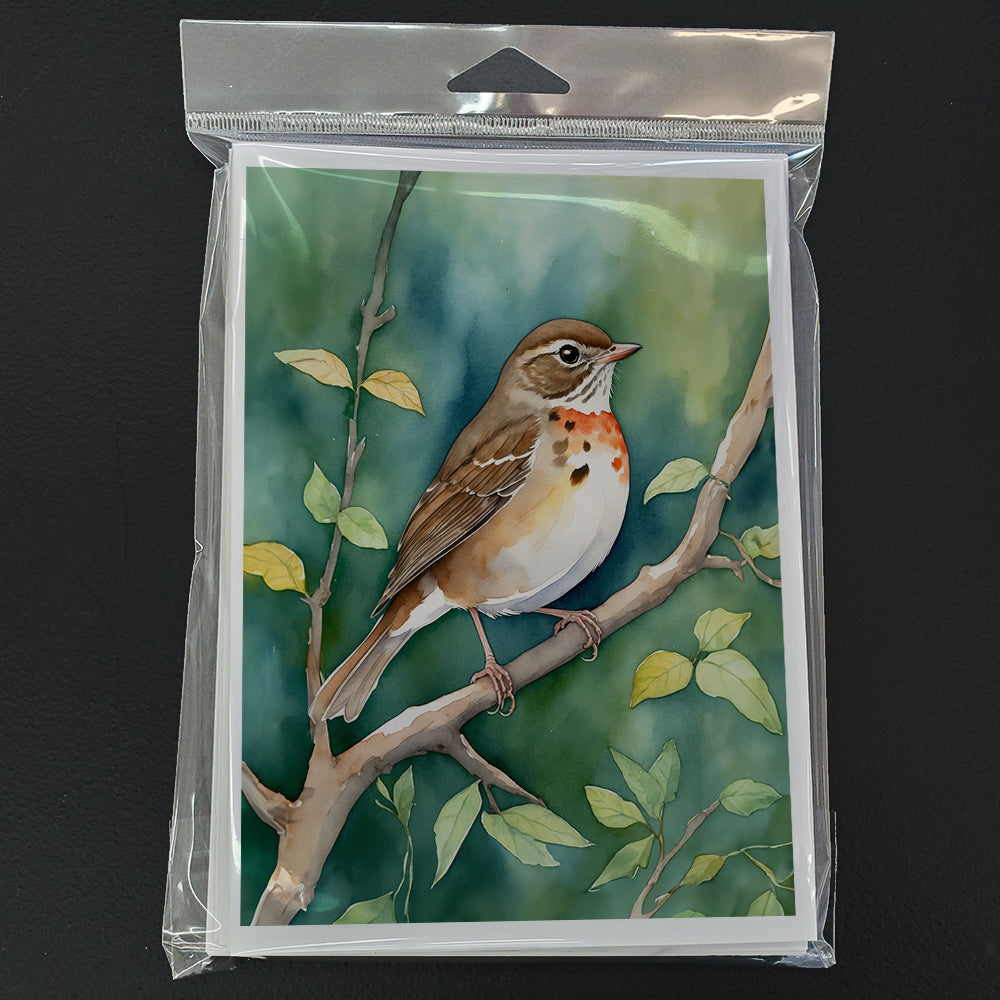 Vermont Hermit Thrush Greeting Cards Pack of 8