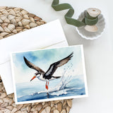 Black Skimmer Greeting Cards Pack of 8