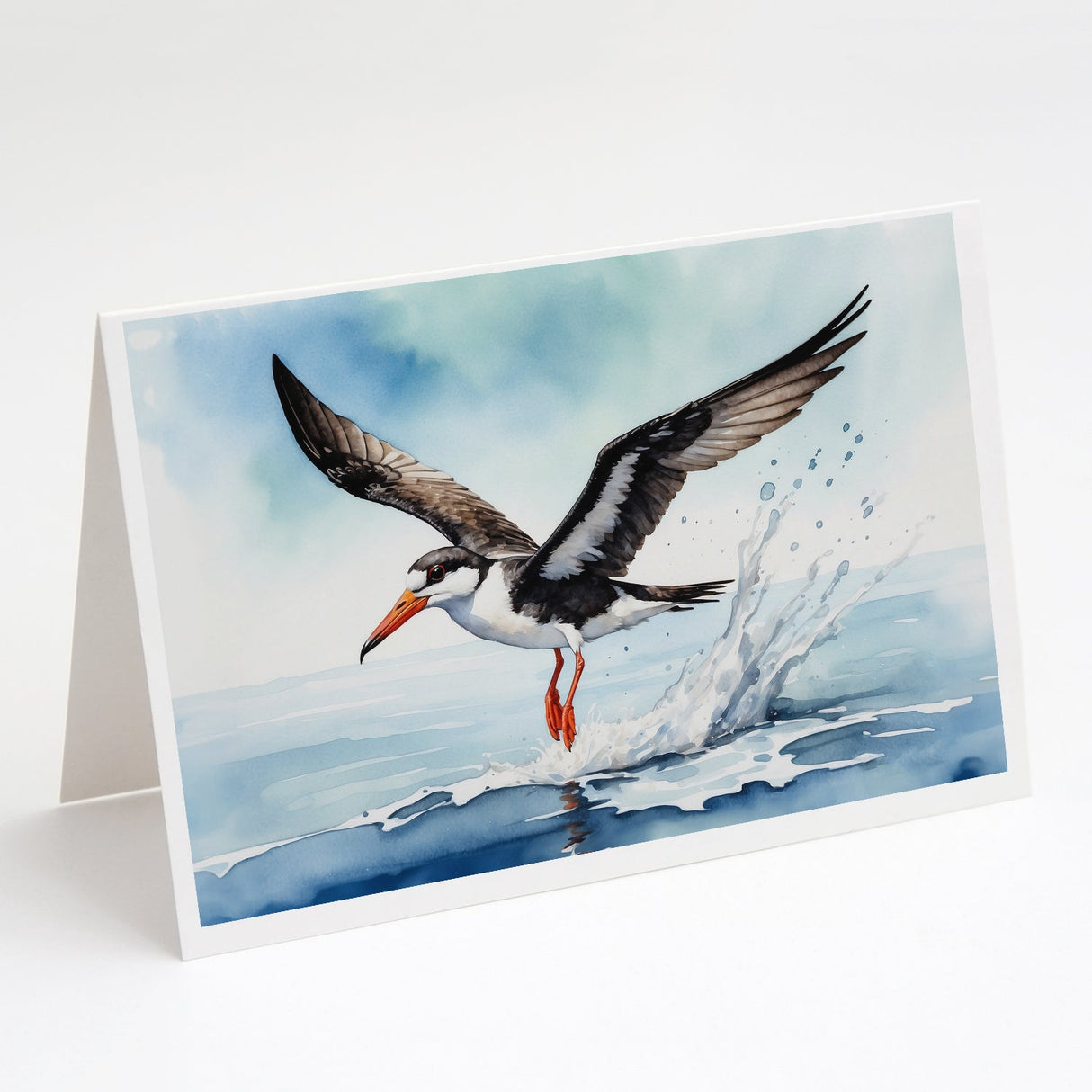 Black Skimmer Greeting Cards Pack of 8