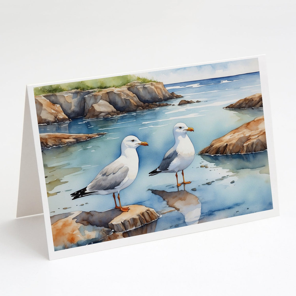 Gulls Scavenging Greeting Cards Pack of 8