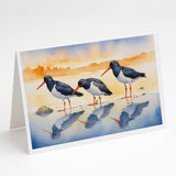 Oystercatchers Foraging Greeting Cards Pack of 8