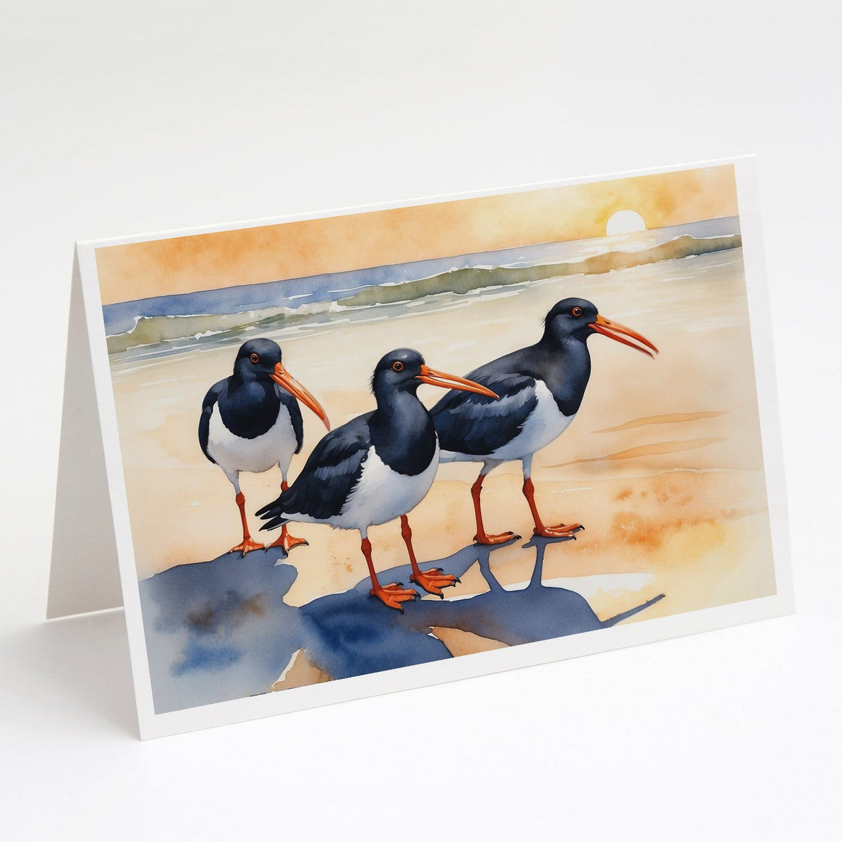 Oystercatchers Foraging Greeting Cards Pack of 8