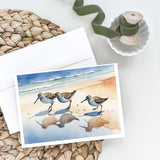 Sandpipers Greeting Cards Pack of 8