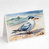 Tern Resting Greeting Cards Pack of 8