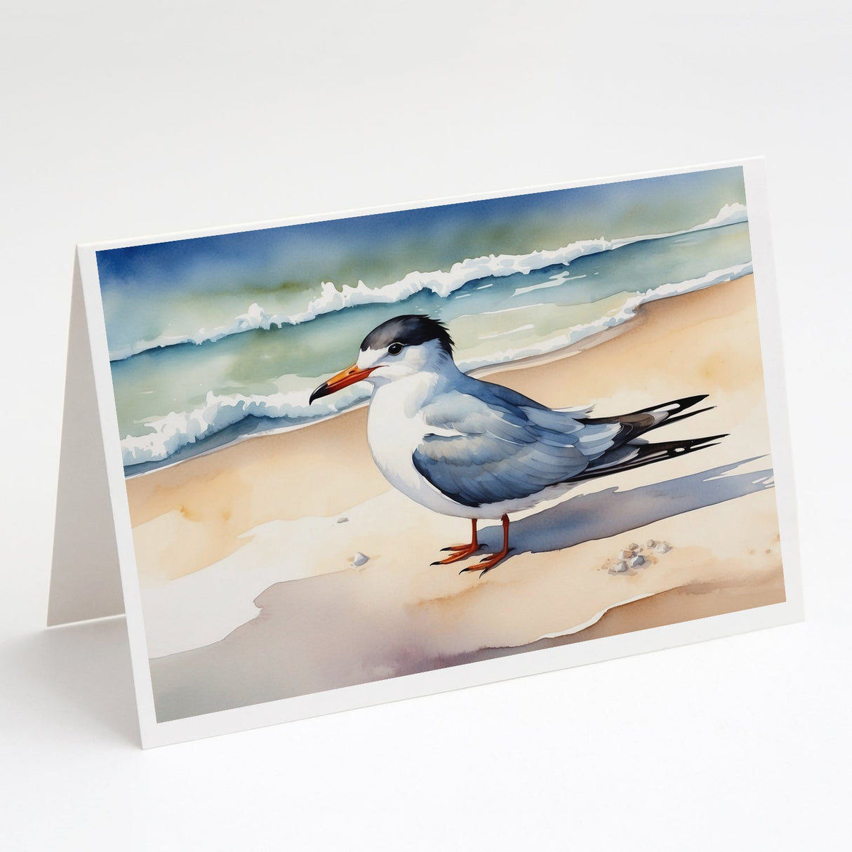 Tern Resting Greeting Cards Pack of 8