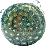 The "Abyss" Oil-Drop Honeycomb Head Glass Spoon Pipes