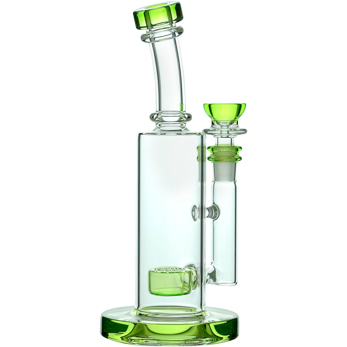 Calibear Showerhead Percolator Bong with Bent Neck and Color Accents