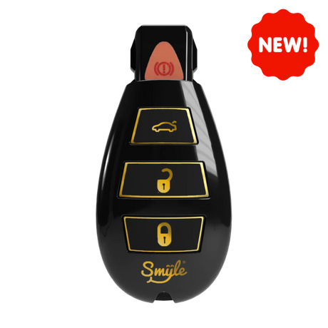 Car Key Penjamin Discreet 510 Battery