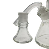 Thick Ass Glass Quartz Ash Catcher & Drop Down Adapter - Dual Size