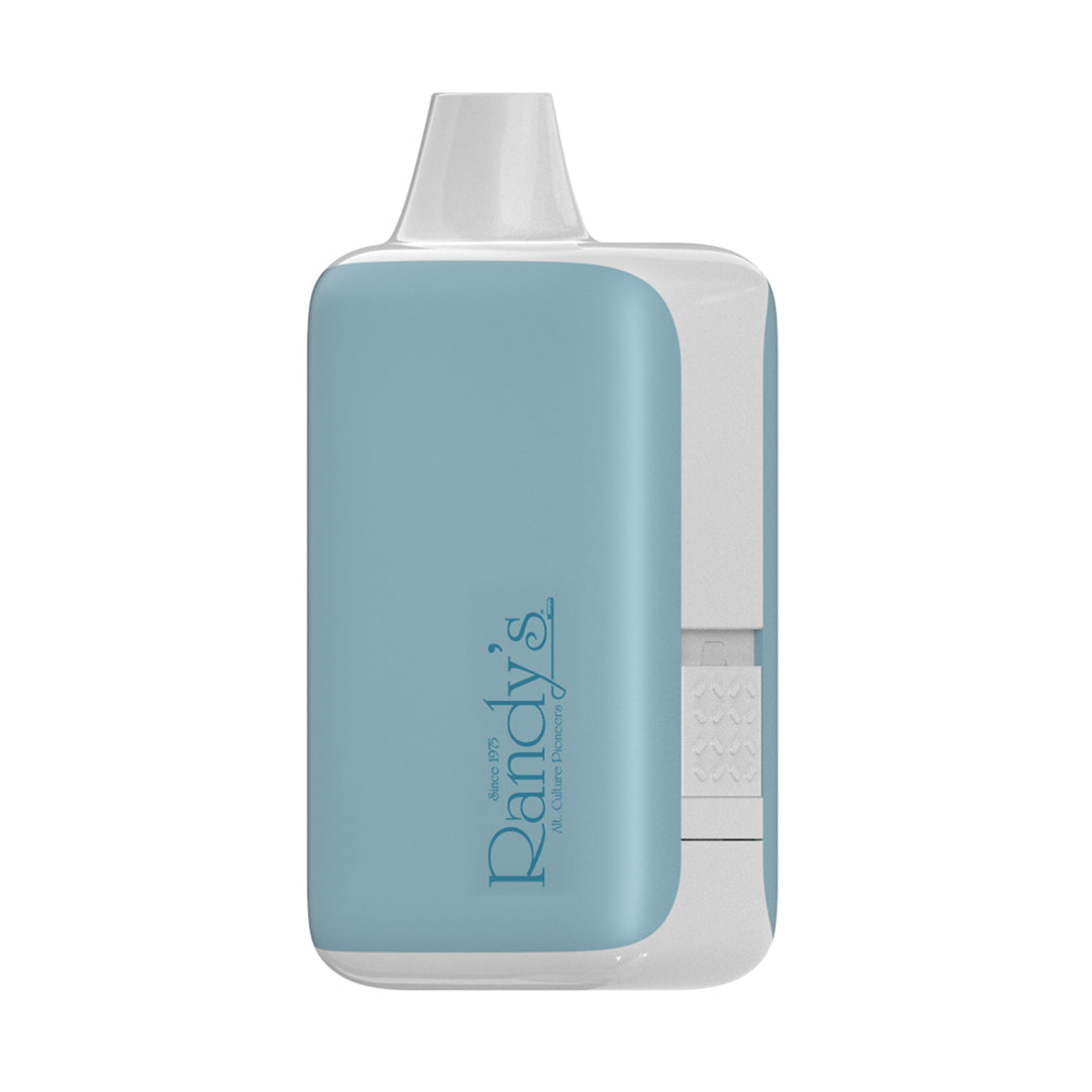 Randy's Inspo XL Vaporizer in Winter Blue, front view on a seamless white background