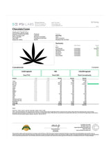 Baked Bags Coned Delta 8 Infused Treat lab results document showing 600mg potency