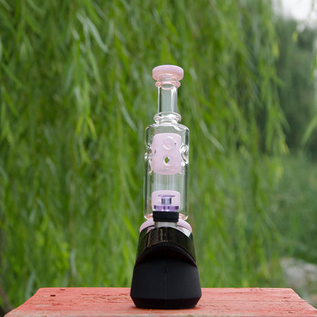 Calibear Straight Fab Puffco Attachment in clear glass with pink accents, front view on natural background