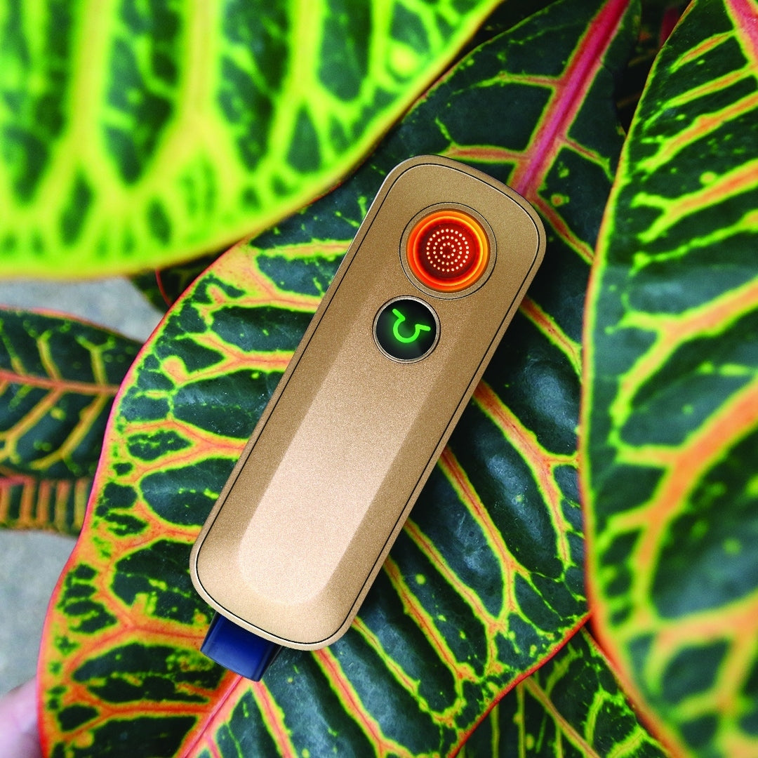 Firefly 2+ Vaporizer in gold, portable design for dry herbs, on a tropical leaf background