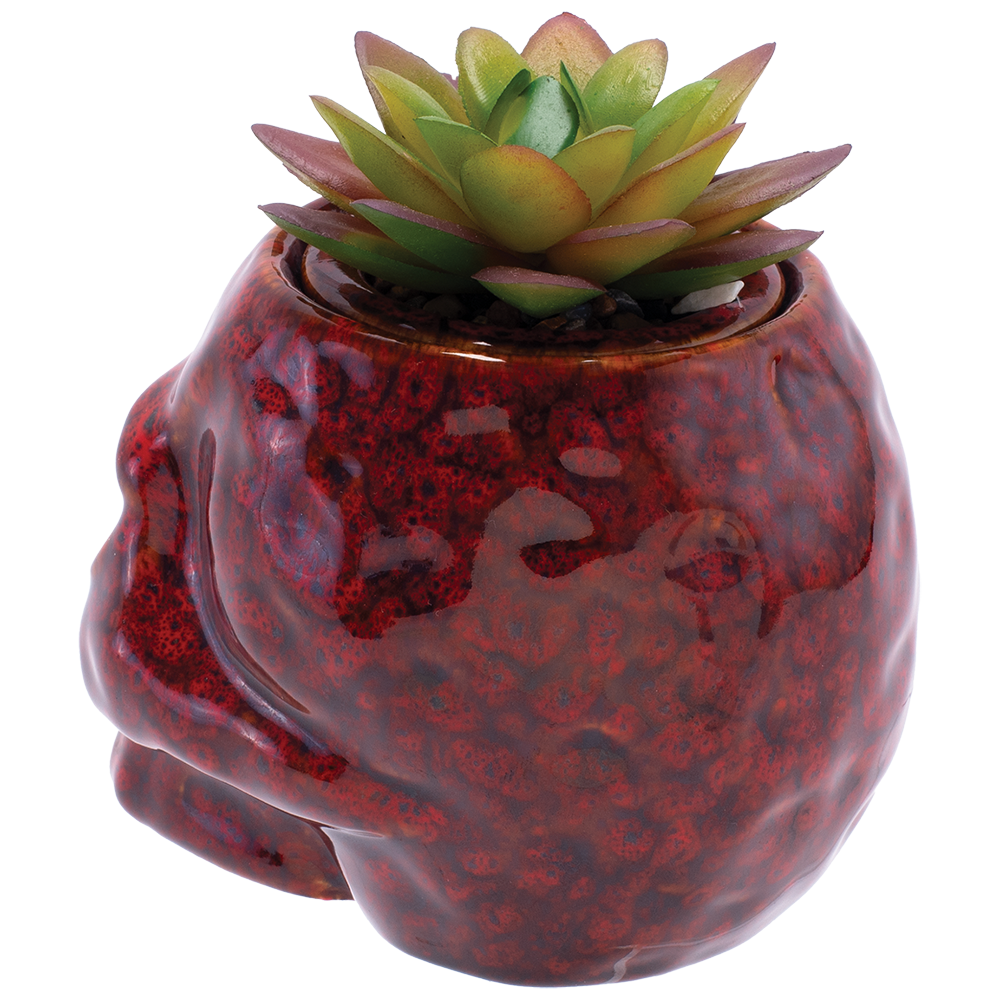 Fujima Skull Planter Reactive Glaze Ceramic Stash Jar | 4.5"