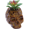 Fujima Skull Planter Reactive Glaze Ceramic Stash Jar | 4.5"