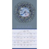 Grateful Dead 2025 Wall Calendar | 12" x 12"