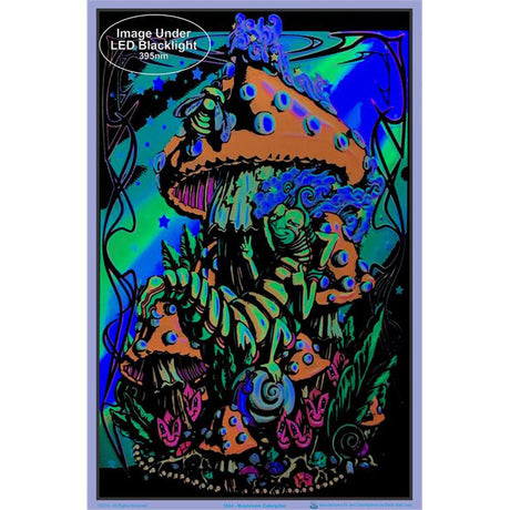 Mushroom Caterpillar Blacklight Poster, UV Reactive, 23" x 35" Front View