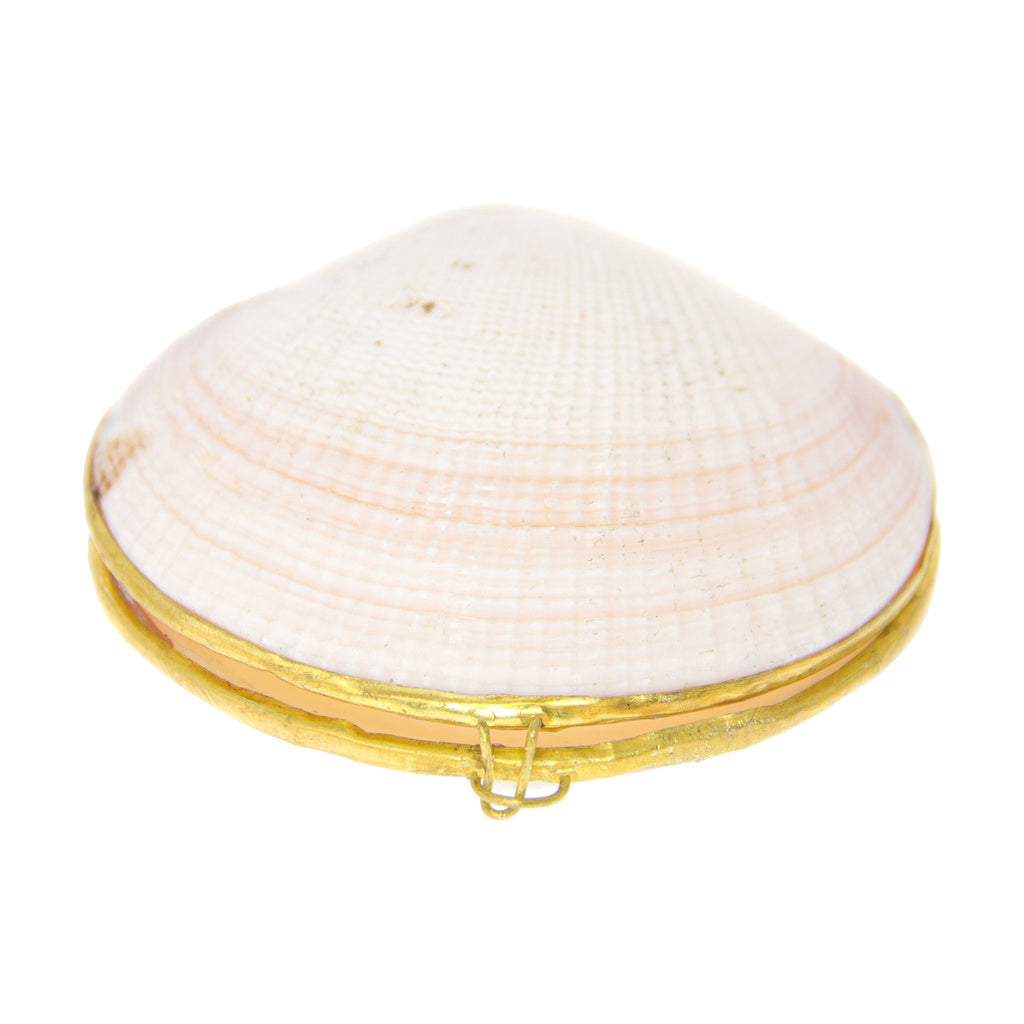 My Bud Vase White Stash Shell with Brass Clasp, Front View on Seamless White Background