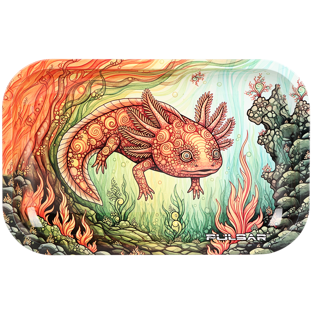 Pulsar Metal Rolling Tray | 11"x7"