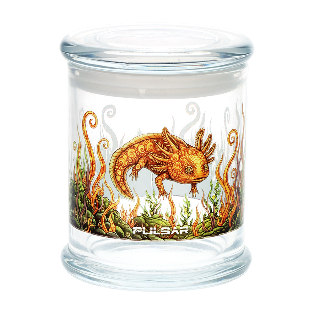 Pulsar Hellbender design large glass stash jar, an airtight 500mL jar for storing herb and more
